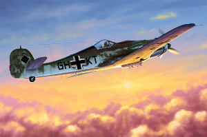 HB81717 1/48 Focke Wulf FW 190D-10