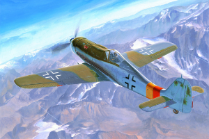 HB81716 1/48 Focke-Wulf FW190D-9